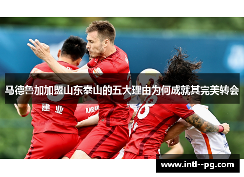 马德鲁加加盟山东泰山的五大理由为何成就其完美转会