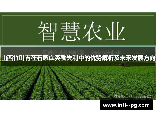 山西竹叶青在石家庄英励失利中的优势解析及未来发展方向