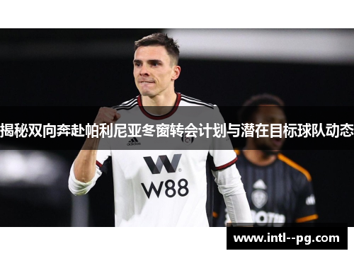 揭秘双向奔赴帕利尼亚冬窗转会计划与潜在目标球队动态