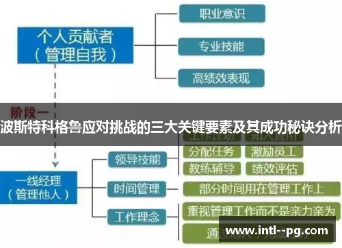 波斯特科格鲁应对挑战的三大关键要素及其成功秘诀分析 波斯特科格鲁应对挑战的三大关键要素及其成功秘诀分析
