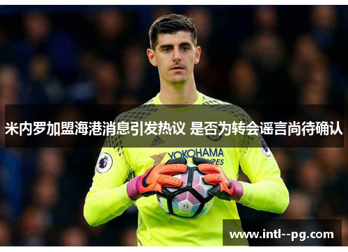 米内罗加盟海港消息引发热议 是否为转会谣言尚待确认 米内罗加盟海港消息引发热议 是否为转会谣言尚待确认