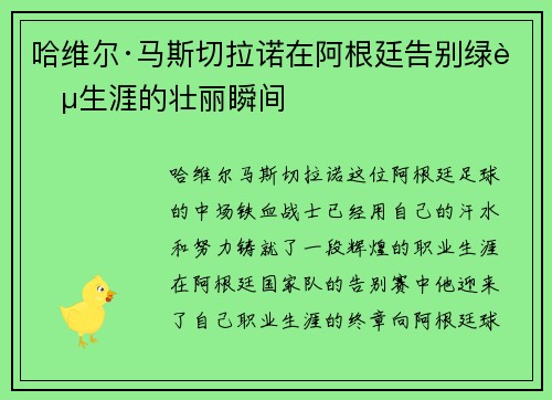 哈维尔·马斯切拉诺在阿根廷告别绿茵生涯的壮丽瞬间 哈维尔·马斯切拉诺在阿根廷告别绿茵生涯的壮丽瞬间